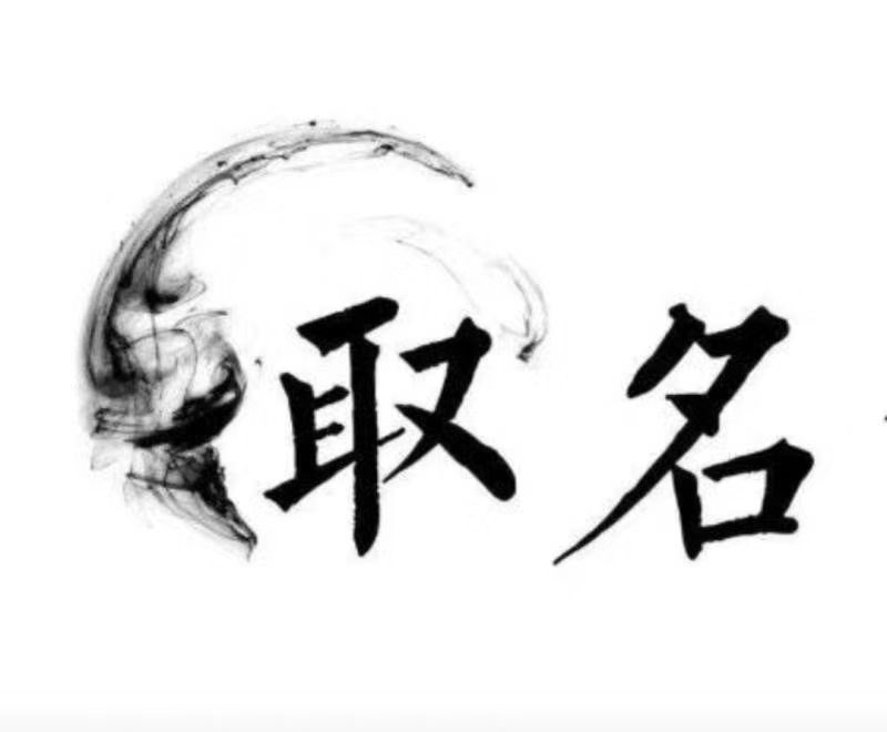  天宁宝宝取名 大师一对一人工起名